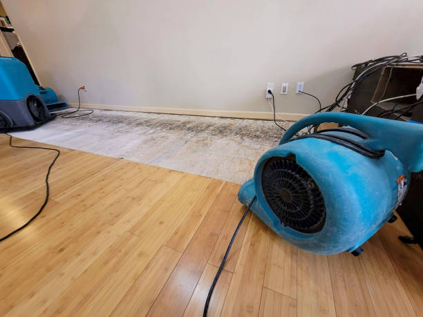 Professional Water Removal technician working in Westlake Village, IL